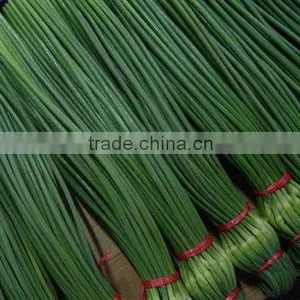 Frozen Garlic Sprouts thumbnail-1