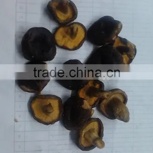 Vacuum Fried Shiitake Chips thumbnail-2