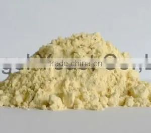 Angel Yeast Beta Glucan as Pharmaceutical Immune Polysaccharid and Anti Radiation thumbnail-1