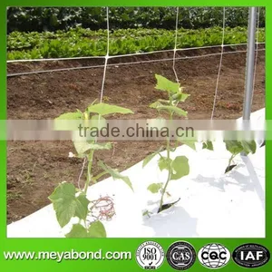 Cucumber Plastic Plant Support Net 100% Virgin Material Plastic Trellis Net Plant Climbing Support Netting/Plastic Net thumbnail-6