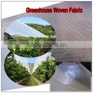 Transparent Polyethylene Woven Fabric Waterproof PE Tarpaulin thumbnail-1