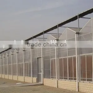 PC Solid Sheet Roof Greenhouse High Quality thumbnail-1