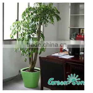 2015 Cheap Pot for Self Watering Products Looking for Distributor thumbnail-1