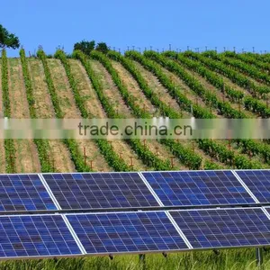 Solar System 6000W Green Energy,solar System Price,hot Sales Products thumbnail-4