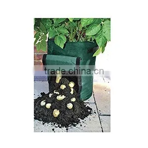Garden Reusable pe Grow Bags for Small Space Gardening thumbnail-1