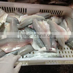 Frozen Seabass Fillets 5-7oz,7-9oz Lateolabrax Japinicus for Middle East Market thumbnail-1
