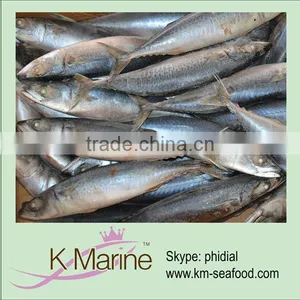 Offer Grade A Sea Frozen Mackerel thumbnail-1