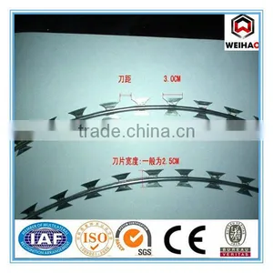 Hot Dipped Galvanized Raozr Barbed Wire thumbnail-1