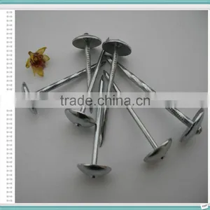 Galvanized Umbrella Head Roofing Nails With Smooth/Twist Shank by Low Price( Direct From Factory) thumbnail-2