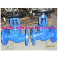 DIN Standard Bellow Sealed Globe Valve thumbnail-1