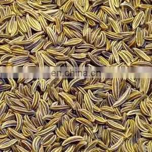 Cumin Seed Powder thumbnail-1