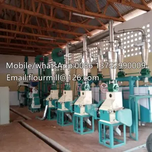 30TPD Corn Flour Machine,corn Milling Machine,maize Mill thumbnail-3