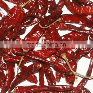 Vietnam High Quality Big Frozen Hot Red Dried Chili Pepper thumbnail-2