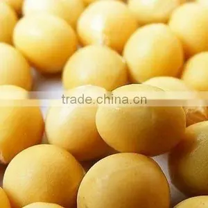 Organic Soybean thumbnail-1