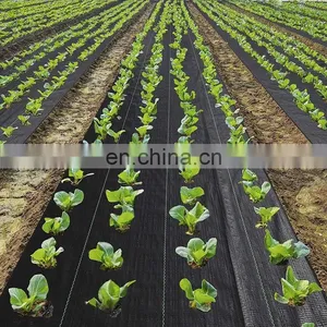 3.5oz PP Woven Anti Grass Cloth Garden Nursery Ground Cover Membraine thumbnail-5