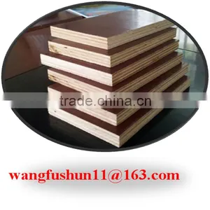 Dubai Film Faced Plywood for Construction True 18mm Film Faced Plywood thumbnail-2