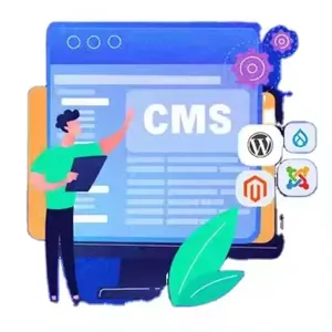 The Great Quality Web Design & Development Custom Content Management Software CMS Platform Website thumbnail-1