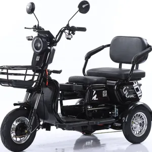 2025 Best 3 Wheel Passenger Tricycle Two Seat 48v Electric Tricycle Bike for Adults and Old People thumbnail-5