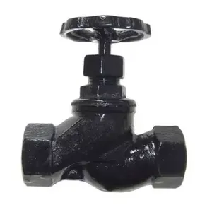 Factory Price Cast Iron Globe Valves With Threaded Thread Mouth Globe Valves by Manufacturers thumbnail-4