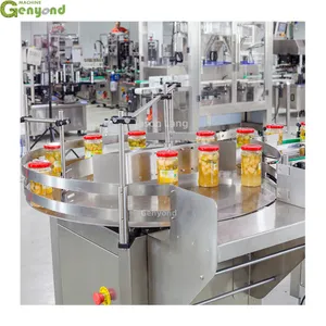 Genyond Pickled Food/Vegetable/Cucumbers/Garlic/Ginger/Onion Chips Filling Machine Production Line thumbnail-3
