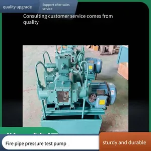 Dsy-40 Electric Pressure Test Pump Made in Jiangsu, Stainless Steel Material, for Water Pressure Detection at Engineering Sites thumbnail-5