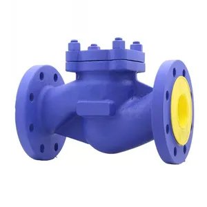 High Quality Factory Direct Sales Lifting Check Valve thumbnail-2