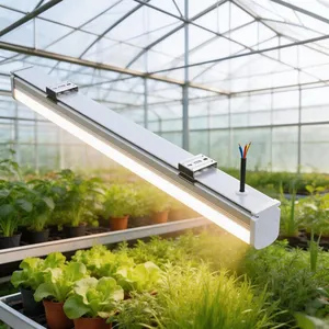 LED Grow Light L1 Linear Full Spectrum IP65 Hydroponic Greenhouse Bar Light thumbnail-1