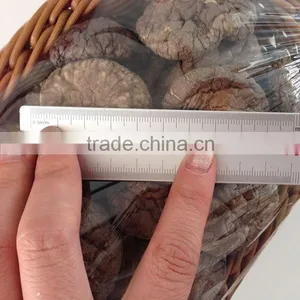 Wholesale Factory Prices for Shiitake 1KG thumbnail-6
