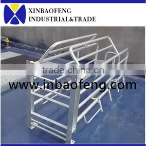 High Quality New Design Pig Farrowing Stall for Pig Farrowing Crate thumbnail-1