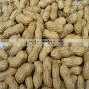 Best Price Washed Peanut in Shell for Sale thumbnail-1
