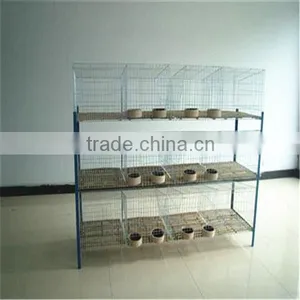 Best Service Poultry Rabbit Farming Cage thumbnail-1