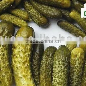 Bulk Canned Baby Gherkin thumbnail-1