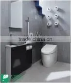 Western Toilet Protection From Dirt Control Water Temperature thumbnail-1