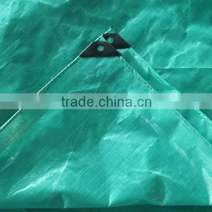 pe Sheet Any Color Any Size pe Sheet Cheap Price Best Quality thumbnail-4