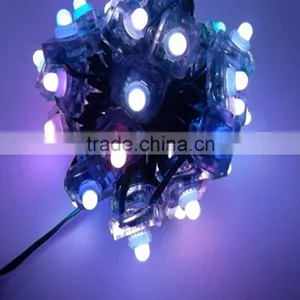 12mm Ws2801ic Led String Light Ip65 Dc5v Led Pixel Light Supplier's Choice thumbnail-3