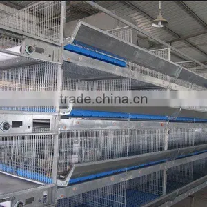H Type Automatic Chicken Cage thumbnail-2