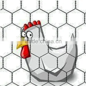 Green/ Black Pvc Coated Chicken Coope Hexagonal Wire Mesh thumbnail-1