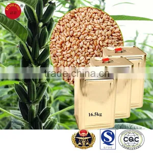 100% Pure High Quality Different Sesame Oil thumbnail-4