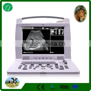 OB/GYN CE FDA Compact Multi-purpose Portable Doppler Ultrasound Scan thumbnail-1
