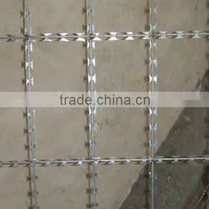 Welded Razor Barbed Straight Wire Fence for Protective ( Manufacturer) thumbnail-1