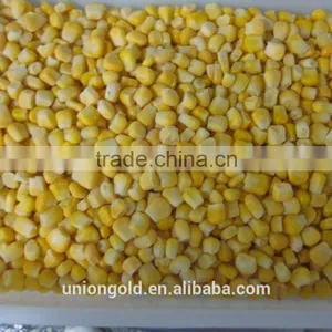 Non-GMO Cut Sweet Corn Kernels/niblet thumbnail-1