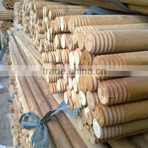 Wooden Stick Eucalyptus thumbnail-1