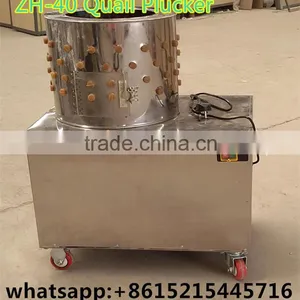 High Quality High Efficient ZH-40 Quail Plucker for Sale thumbnail-1