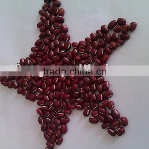 Adzuki Bean, 2010 Crop, Heilongjiang Origin. Hps , Polished thumbnail-1