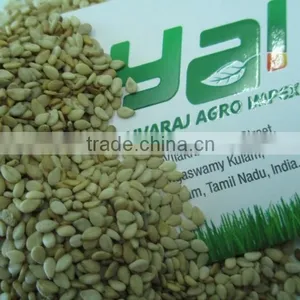 Somalia Origin Natural Sesame Seeds - 99.95% thumbnail-1