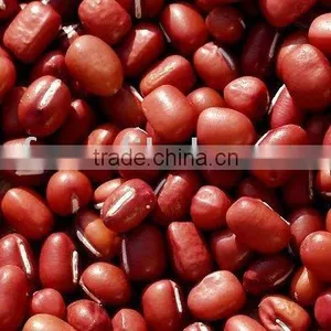 Small Red Bean With 09 Crop thumbnail-1