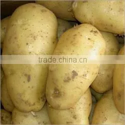 Fresh Potatoes for Sale thumbnail-2