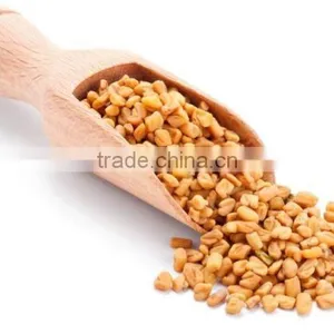 FENUGREEK SEEDS thumbnail-3