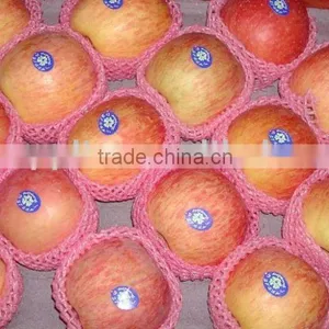 Apple thumbnail-1
