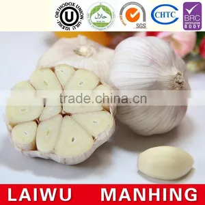 Common Cultivation Liliaceous Vegetables Garlic Fresh thumbnail-1